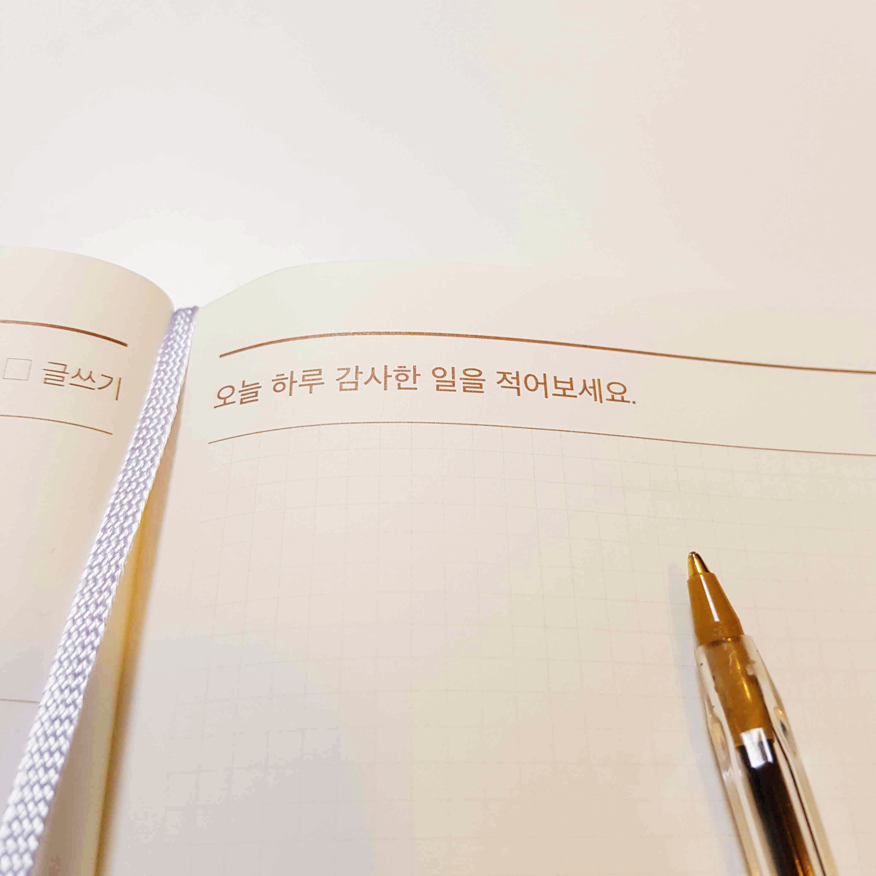 마음수련 다이어리에 감사일기 적는 모습