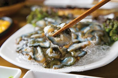 해삼 손질법 해삼보관법 제철 탕 레시피_8