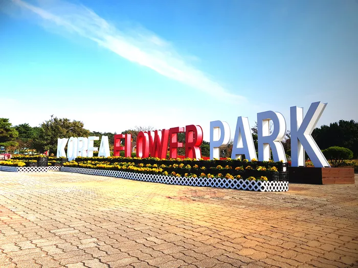 [당일치기 추천] 태안 가을꽃박람회 코리아플라워파크 행사정보 및 주차장 안내