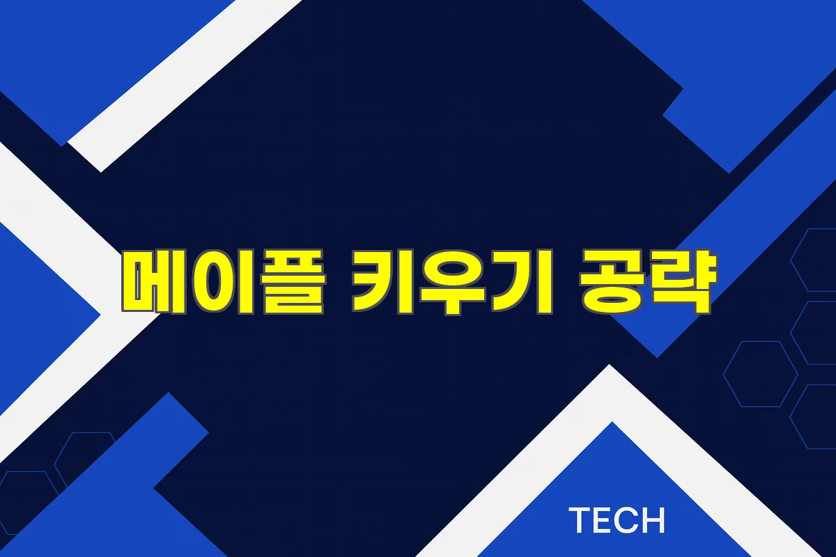 메이플 키우기 무과금 공략