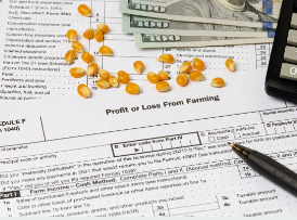 건강보험료 상위 10%