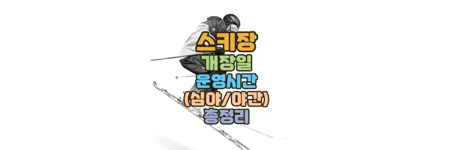 전국 스키장 개장일 운영시간 심야 야간