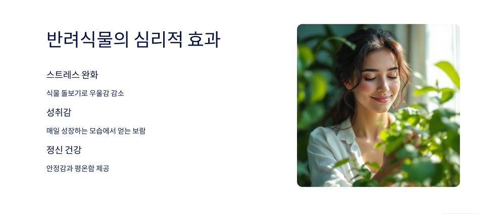 반려식물의 효과