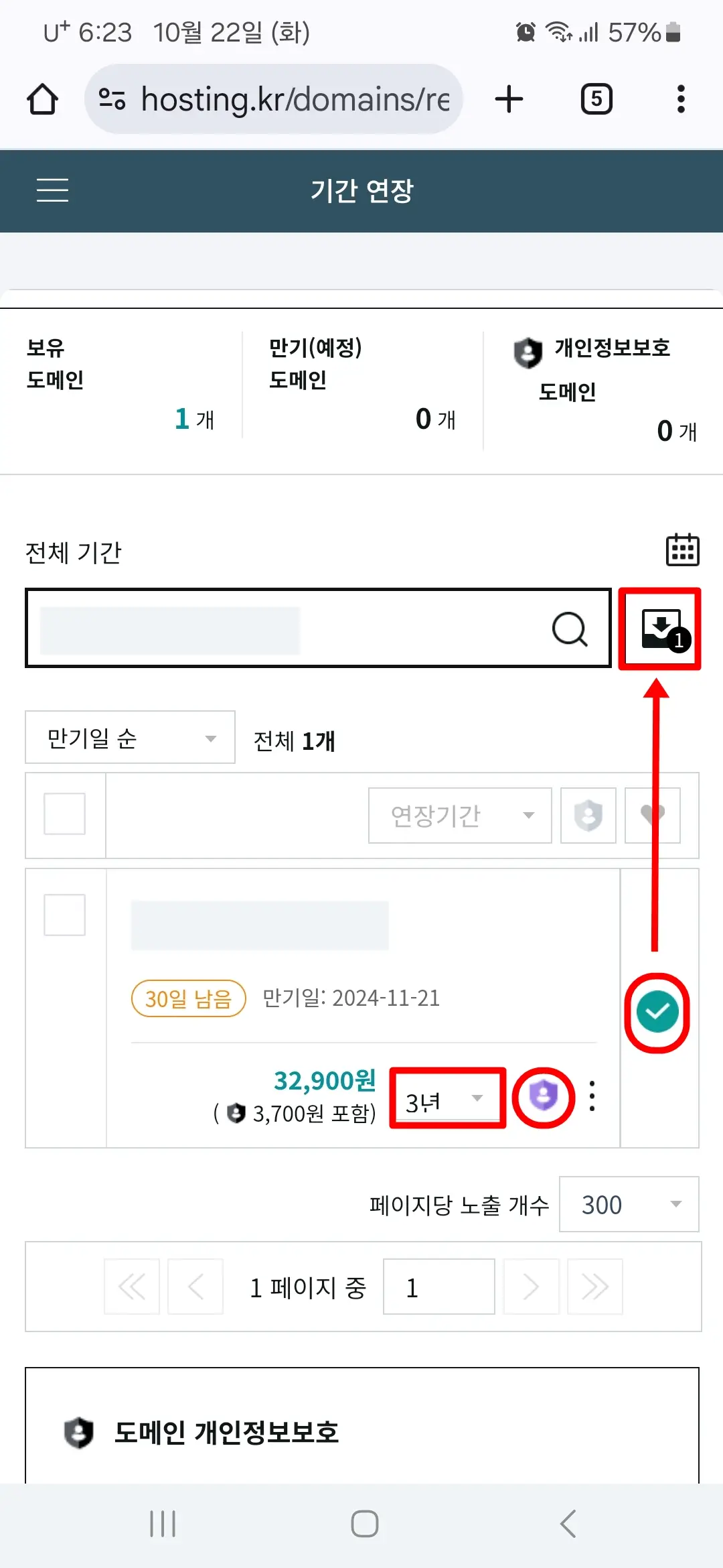 도메인 개인정보보호