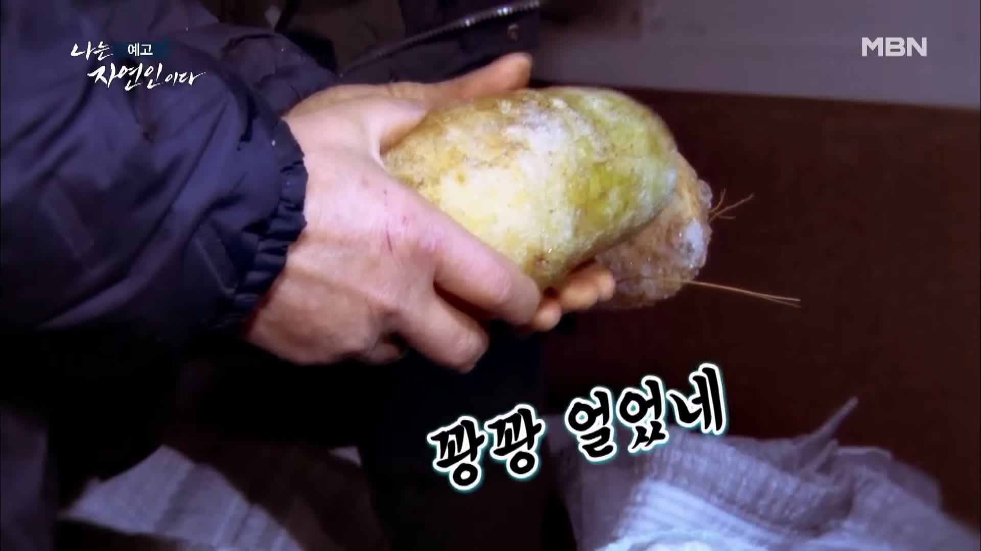 나는 자연인이다 전 재산 사기 후 얻은 반려견 자유로운 삶 내 마음은 호수 자연인 황창환 소개 및 이승윤 출연 539회 다시보기