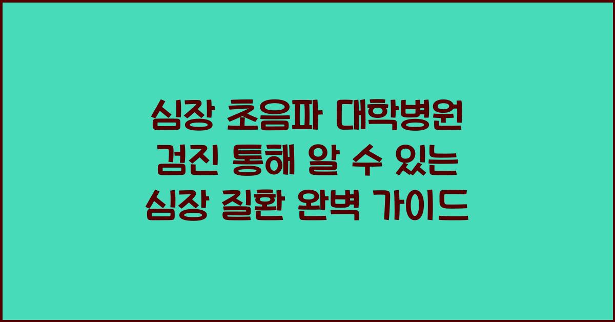 심장 초음파 대학병원 검진 통해 알 수 있는 심장 질환 정보