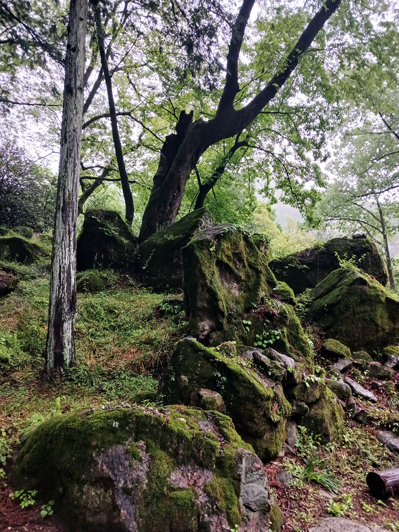 경남 쌍계사 템플스테이 신청 방법