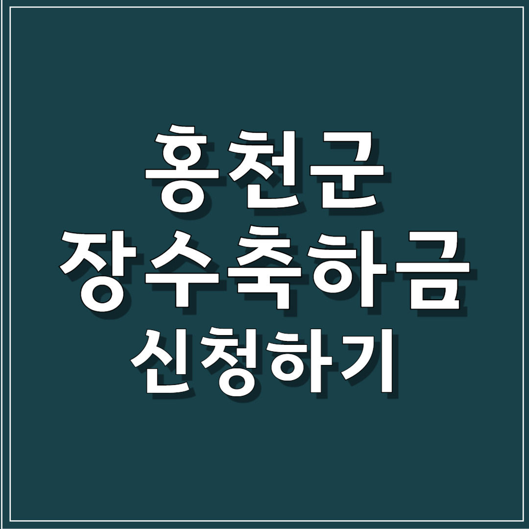 홍천군 장수축하금