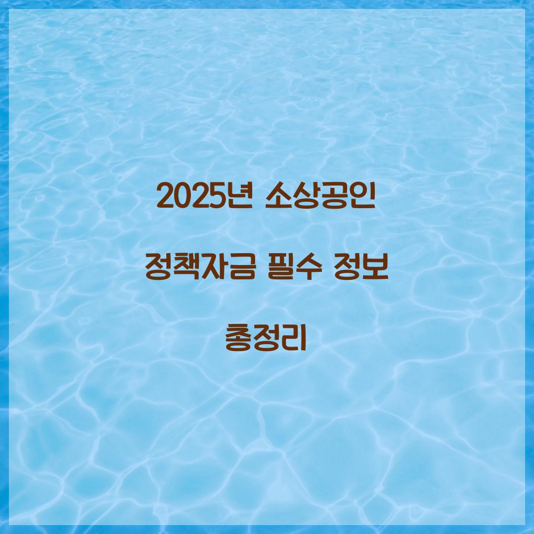 2025년 소상공인 정책자금