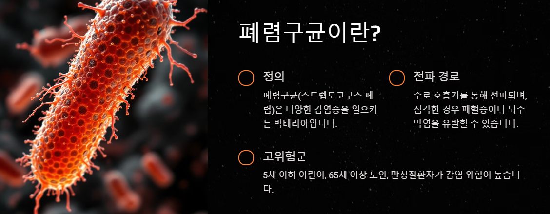폐렴구균 예방접종 횟수, 비용, 부작용 총정리