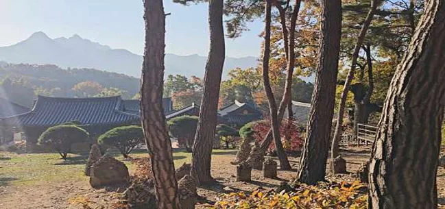 흥국사 고양 템플스테이