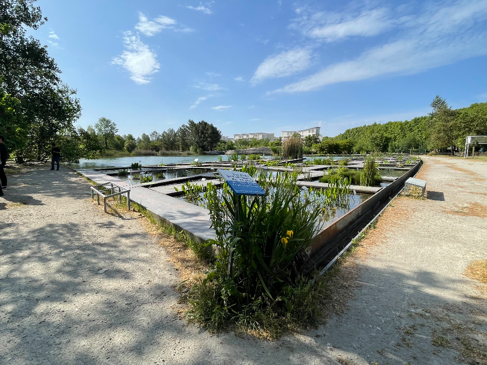 보르도 식물원 사인-수생정원