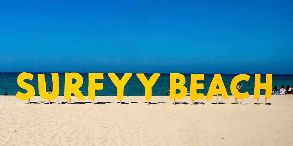 양양 서피비치 관련 이미지