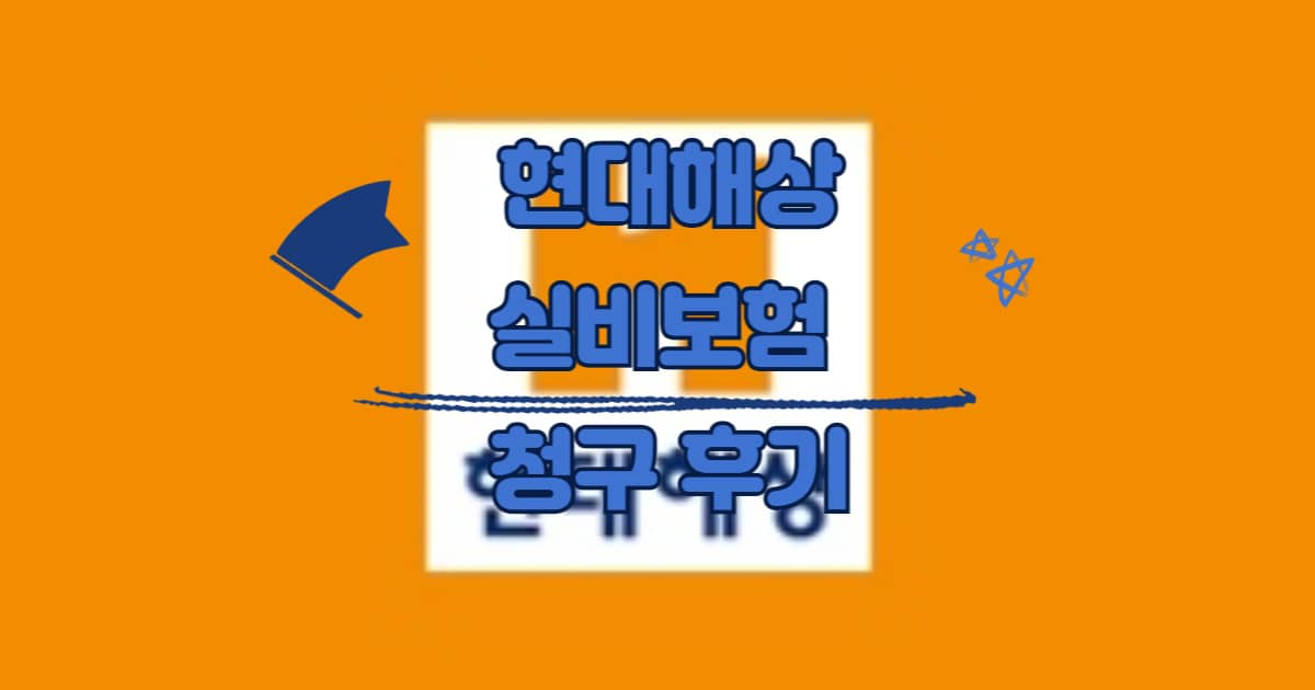 현대해상 실비보험 청구후기 썸네일 이미지