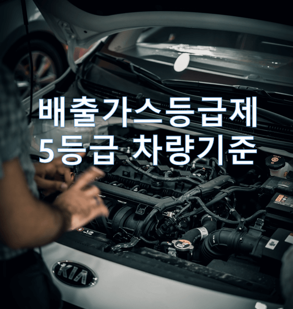 배출가스등급제 및 5등급 차량기준