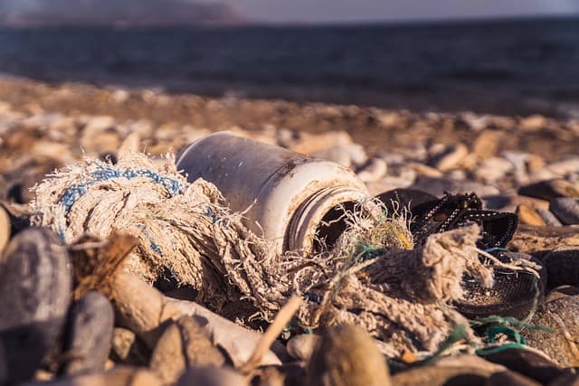 음식물 쓰레기를 줄이기 위한 가족 실천 프로젝트