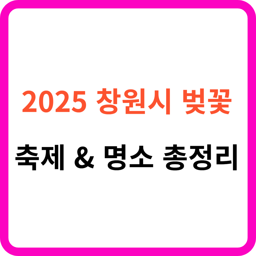 창원시 벚꽃 명소 &amp; 축제 &amp; 드라이브 코스 총정리