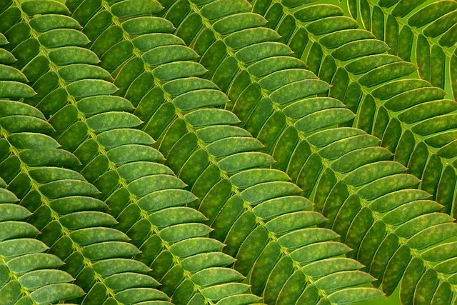 하지 정맥류 증상 치료방법과 예방 생활습관_9