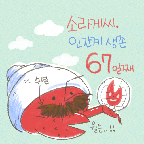 소라게씨 인간계 생존 67일째 그림.