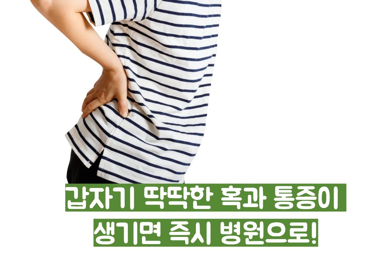 탈장 증세