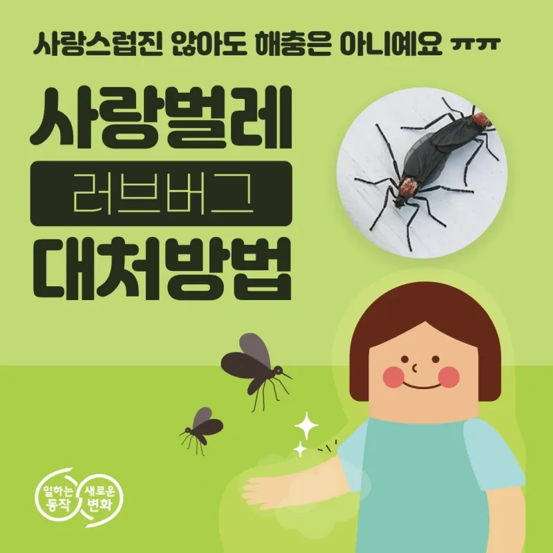 러브버그 -물림