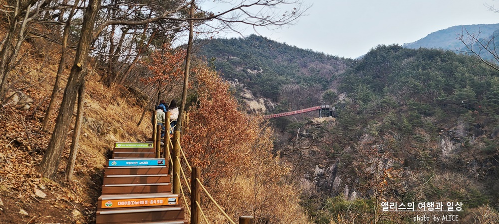 거창 Y 자형 출렁다리 (입장권 현장구매가능) 경남 가볼만한곳