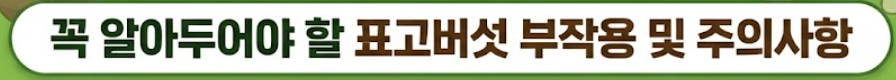표고버섯 효능