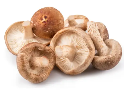 면역력 높이는 음식 Best 12