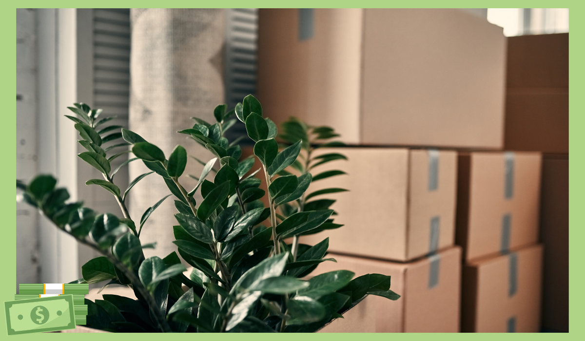 다이소 재고조회