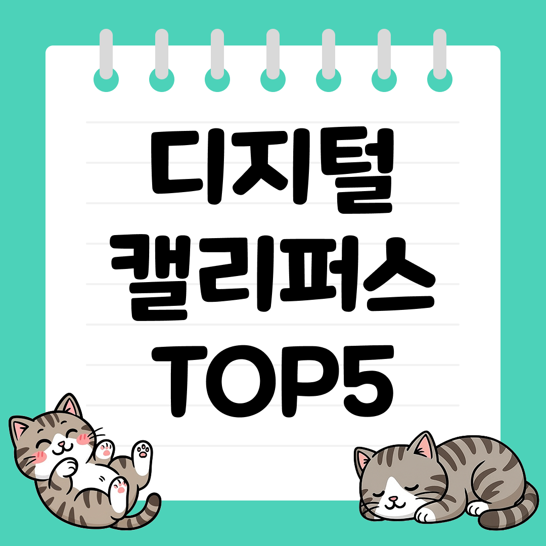 0.01mm의 오차도 없는 정밀 측정용 디지털 캘리퍼스 추천 TOP5
