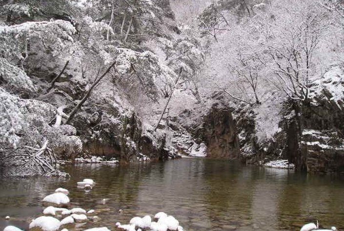 1월 충청북도 가볼만한곳 여행지 추천 ❘ 신년 새해 국내 겨울 나들이 ❘ 충청도 명소 ❘ 가족 실내 데이트