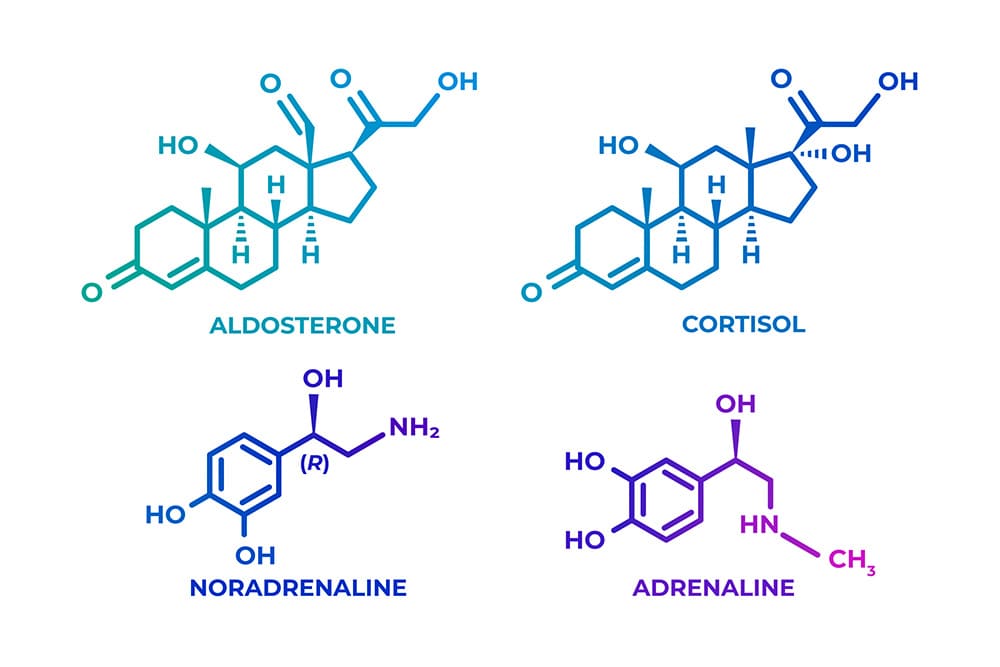 주름-개선을-위한-아데노신