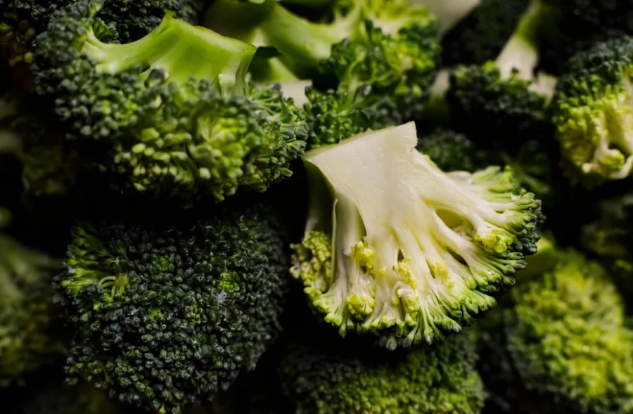 속 쓰림에 좋은 음식 종류 - 8