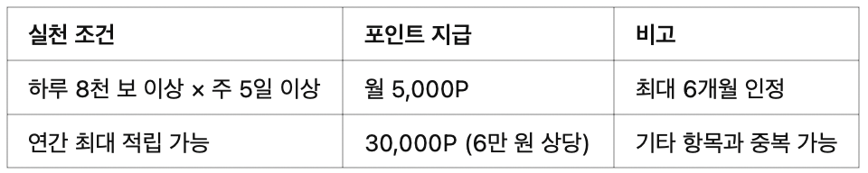 🧾 포인트는 얼마나 쌓이나요?