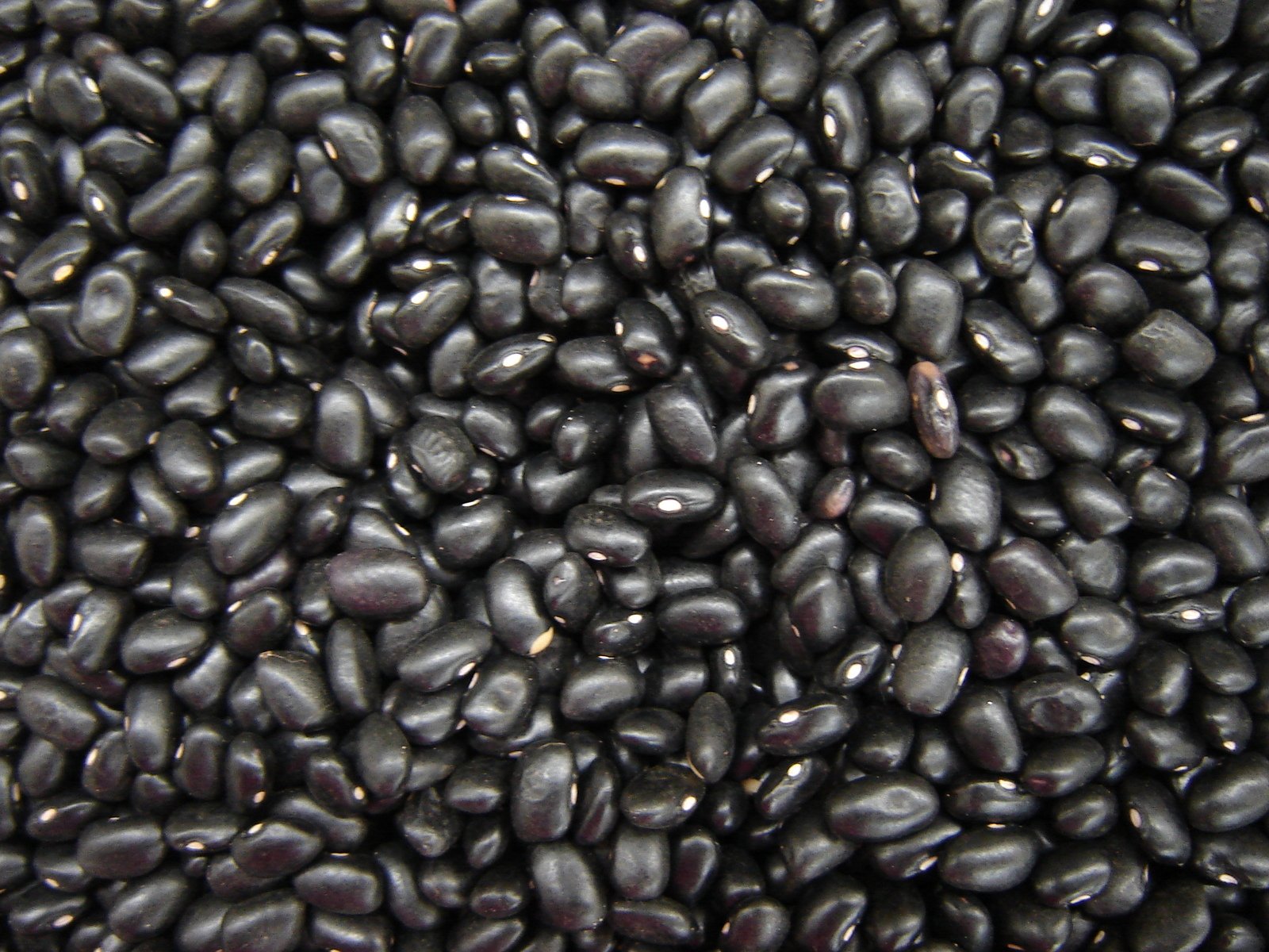 검은콩: 풍부한 영양소와 건강 효능 및 다양한 요리 아이디어