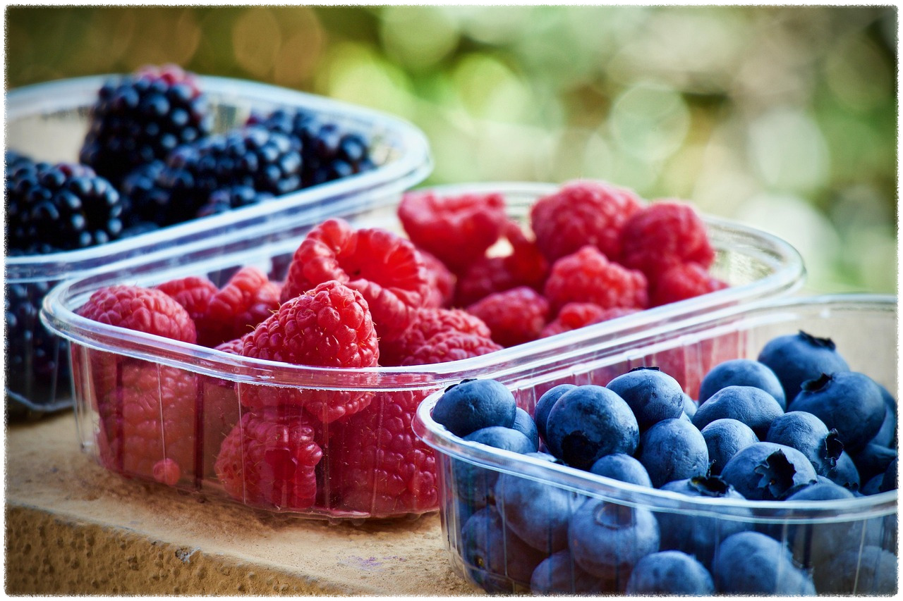 위고비 가격 안내