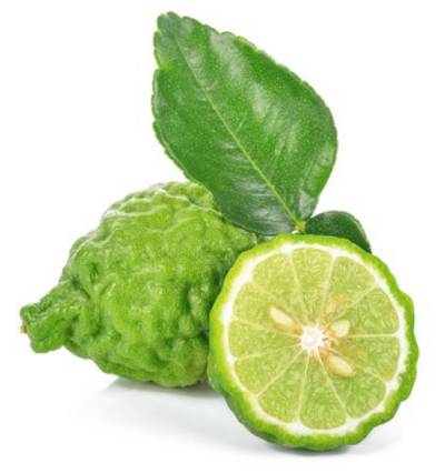 베르가못은 감귤류 식물입니다.