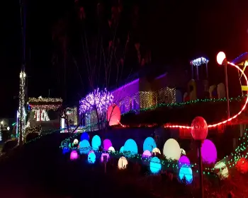 고니골 빛 축제_5