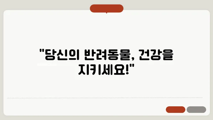 반려동물 비만 관리