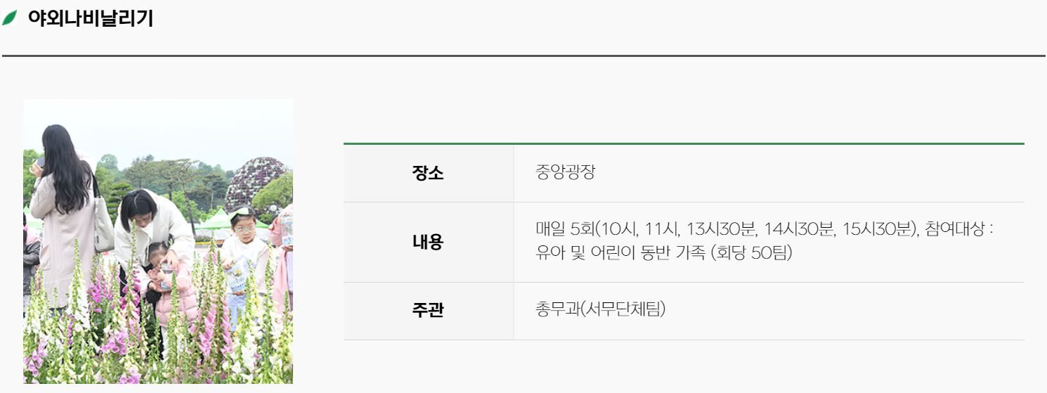 함평 나비축제