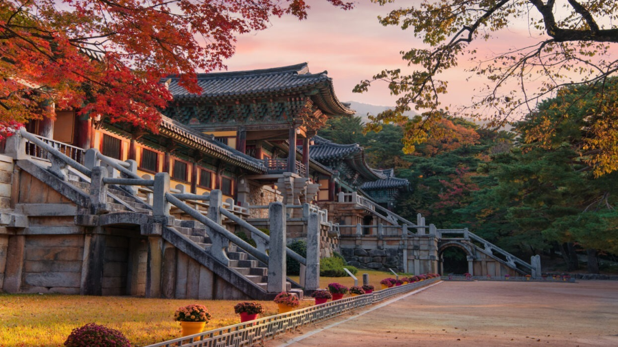 경주 역사골든투어 추천 일정 (당일 & 1박 2일)