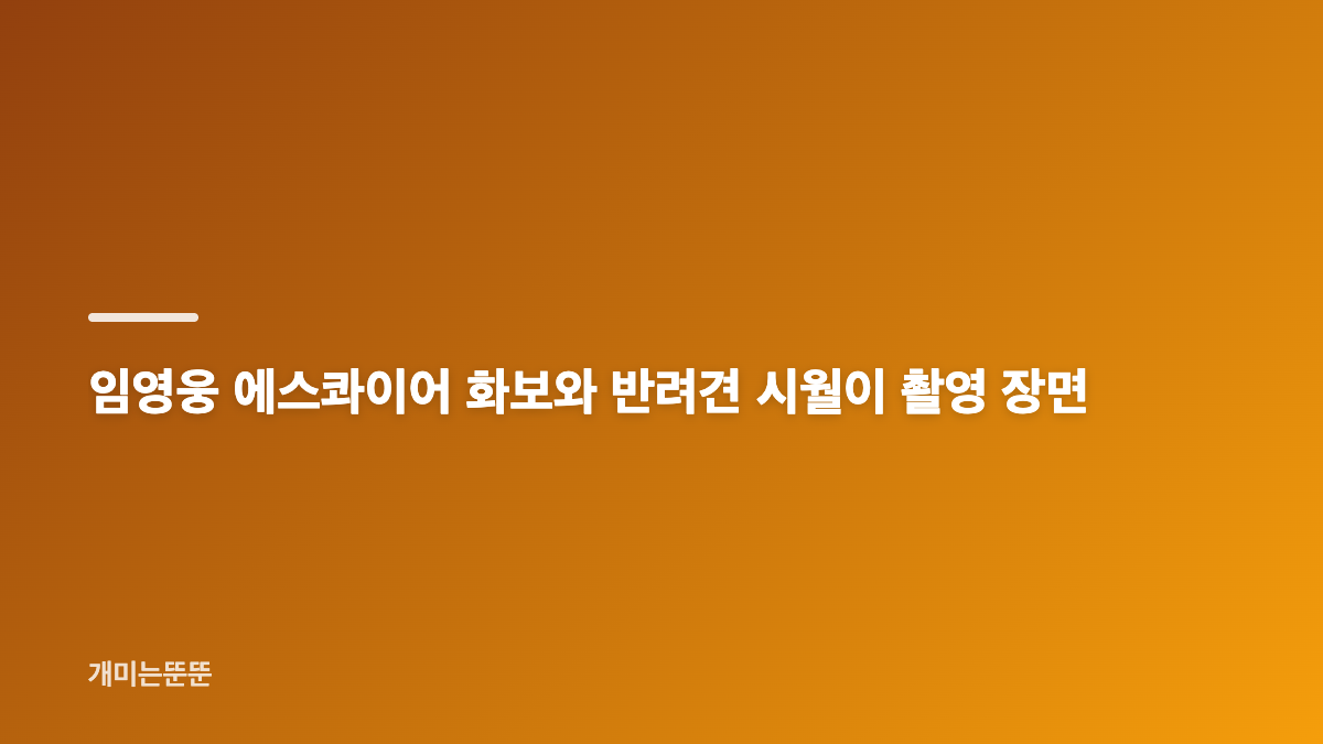 임영웅 데뷔 10년 매거진 첫 커버와 에스콰이어 화보 의미