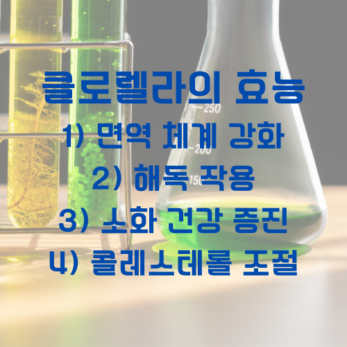 클로렐라의 효능