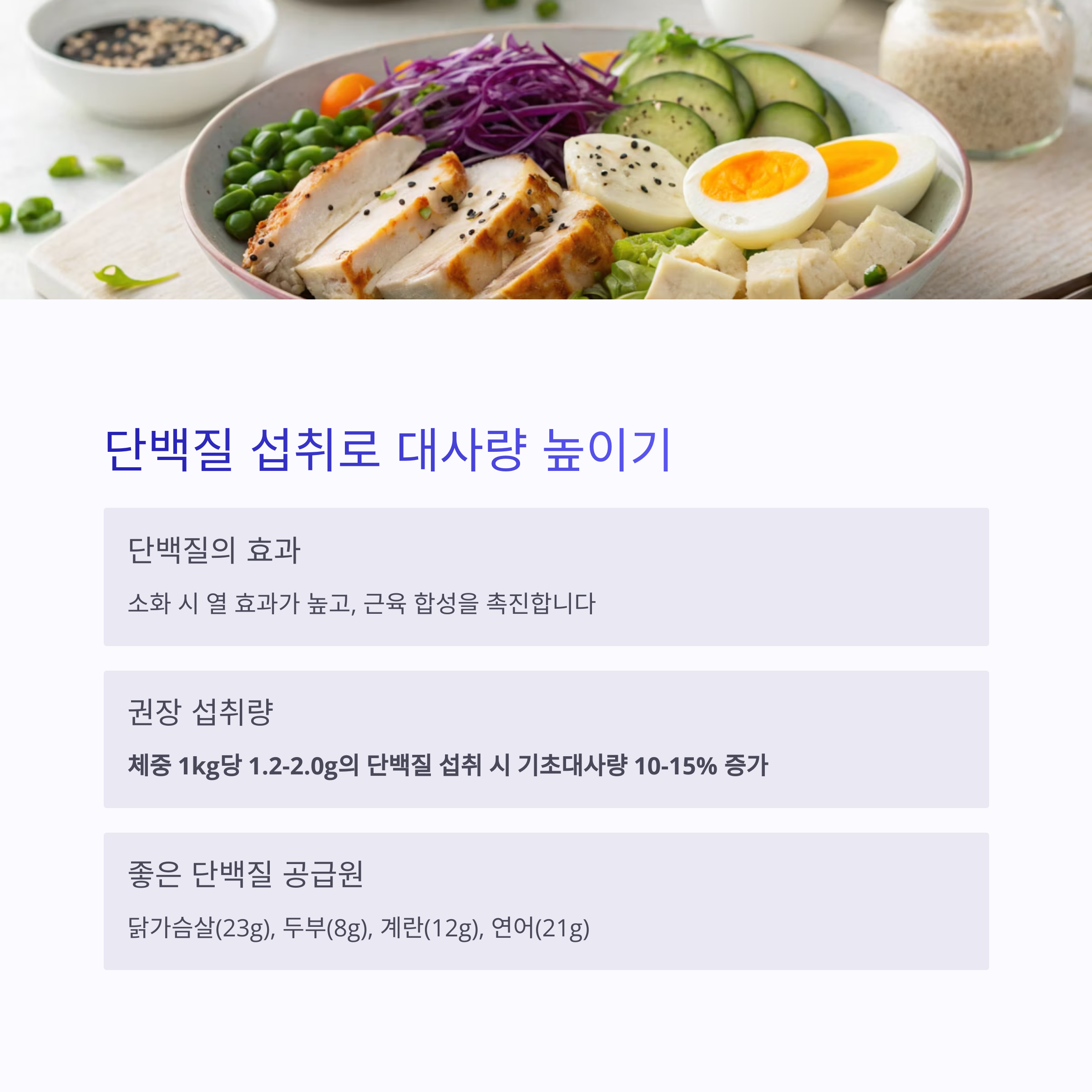 단백질 섭취로 대사량 높이기