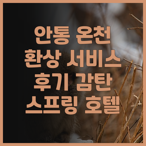 안통 스프링 호텔 후기 온천과 훌륭한