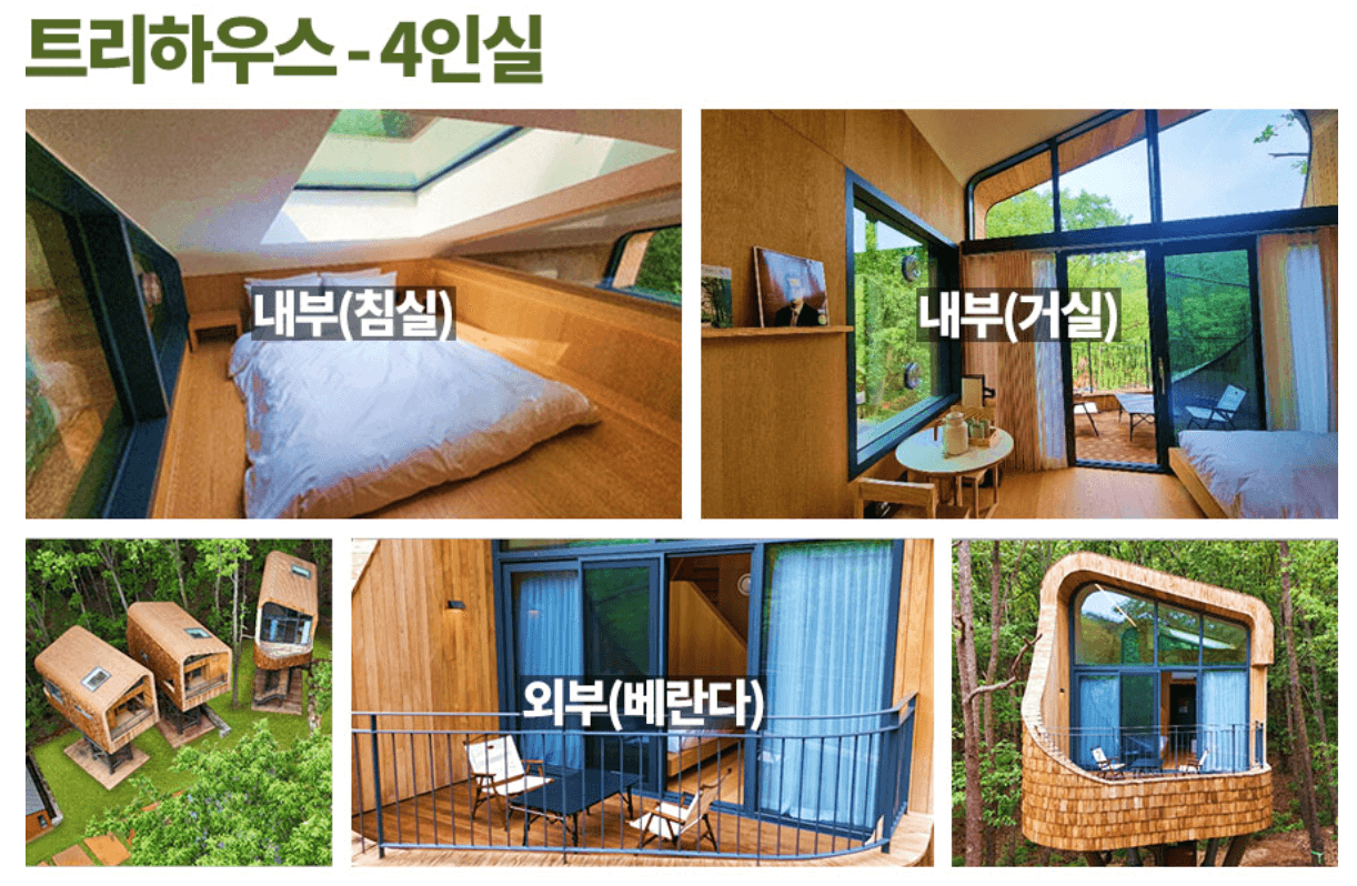 서울 자연휴양림 '수락휴' 트리하우스, 예약 방법과 숙박 형태, 가격 정보, 이용 방법 완전정복