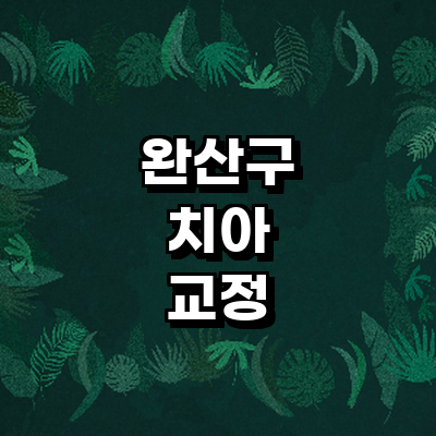 전주 완산구 교정 치과