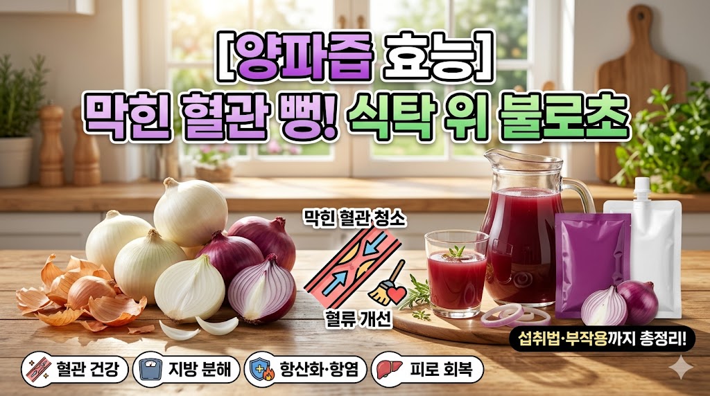 양파즙 효능