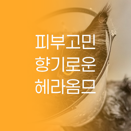 헤라 옴므 & 지일 깊이있는 리뷰 남