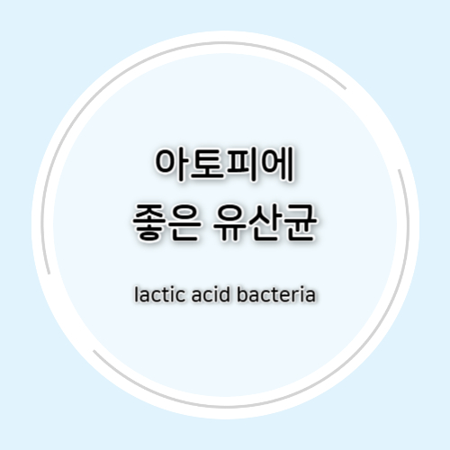 아토피에 좋은 유산균 총정리